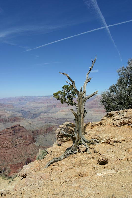 IMG_9933_DXO