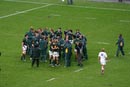 SA Celebrate