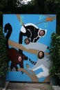 Ugly monkeys