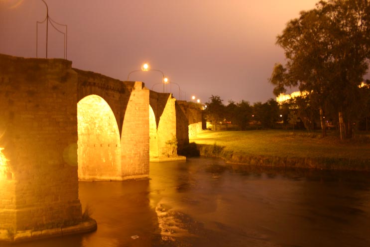 Carcassonne Pont Neuf by night